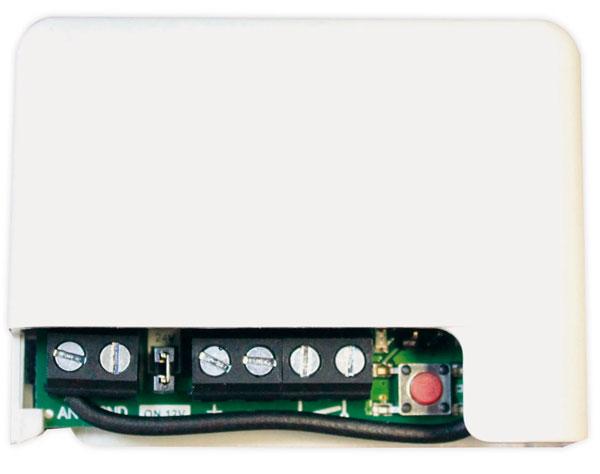 RECEPTOR RF BASIC-MINI 12-24V